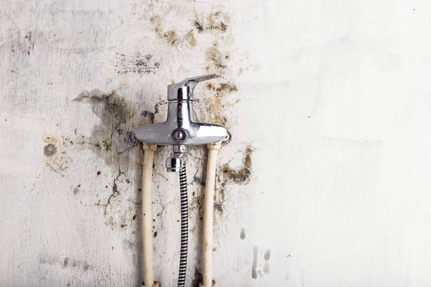 Best Residential Mold Remediation in Orange, TX