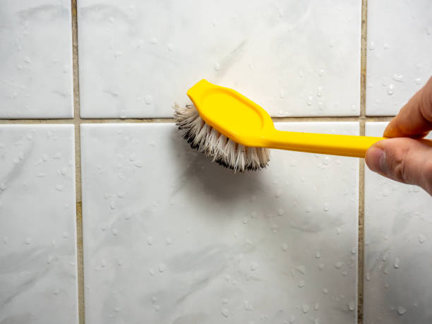 Best Basement Mold Remediation in Orange, TX