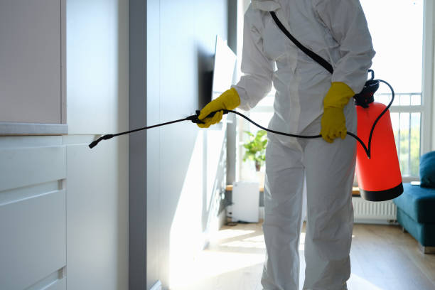Best Industrial Mold Remediation in Orange, TX
