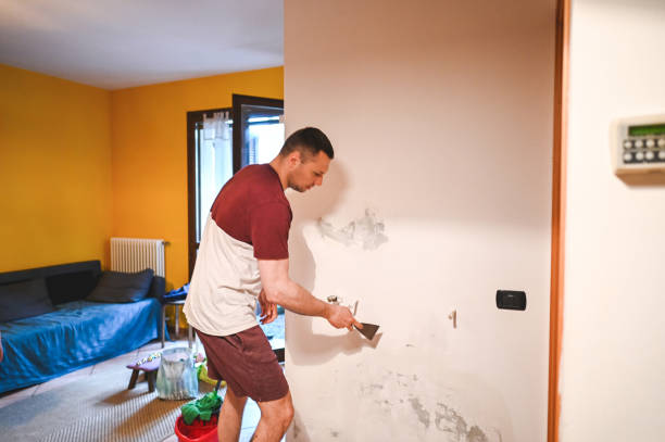 Best Preventive Mold Services in Orange, TX